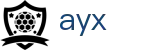 ayx(中国)体育赛事运营有限公司
